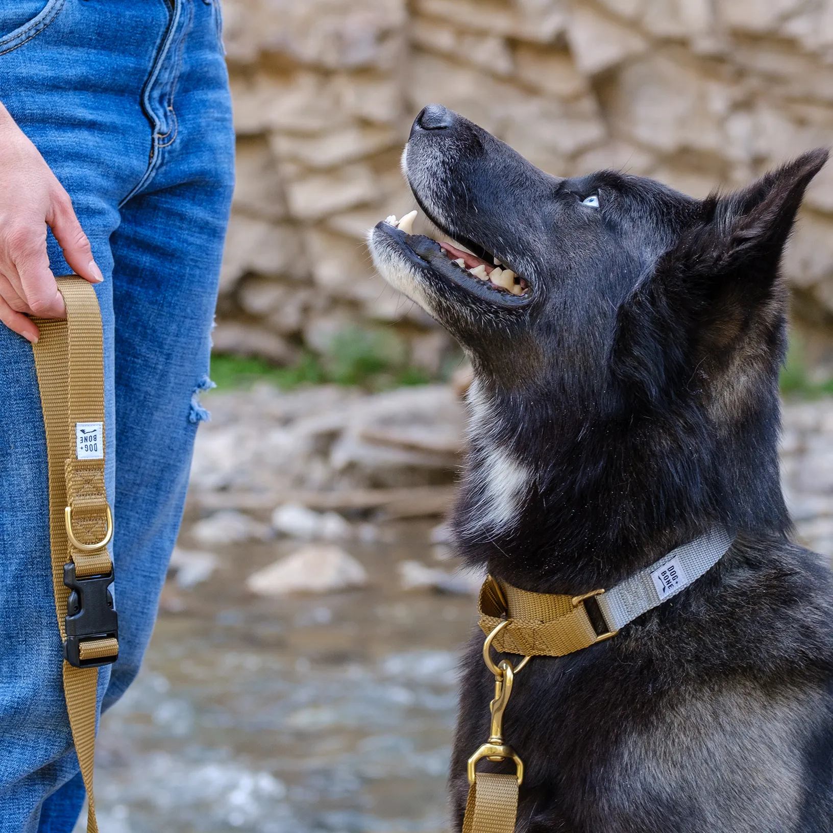 Adjustable Leash - Gold