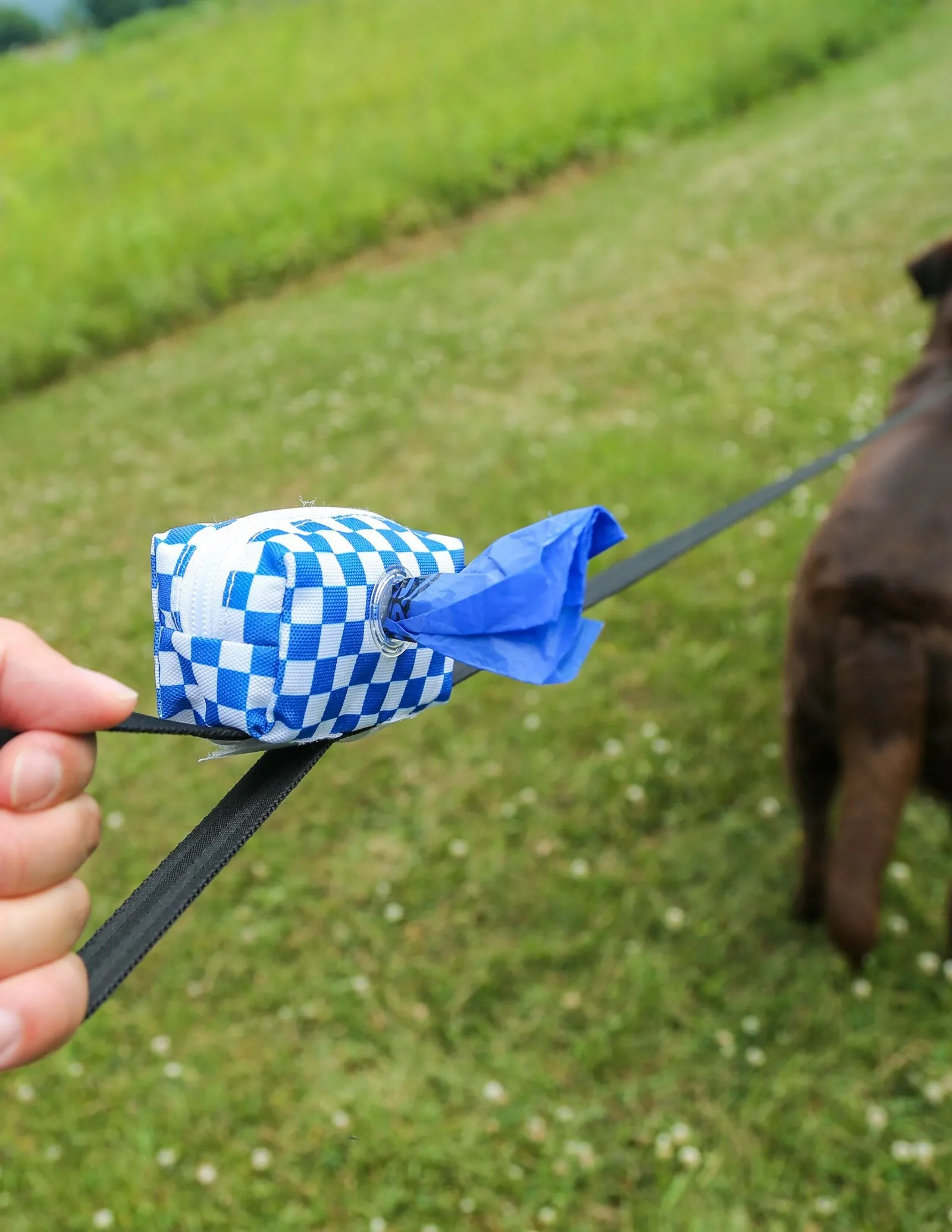 poopyCUTE | Cute Poop Bag Holder | INDY Check Cyan